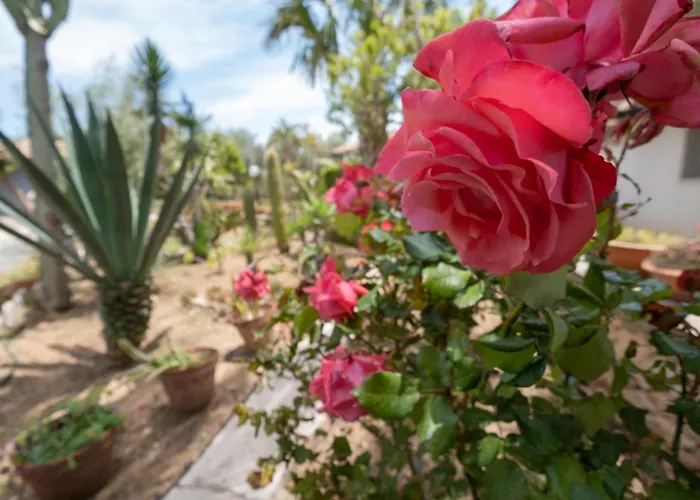 En-suite Double Room-giardino A Mare 3*