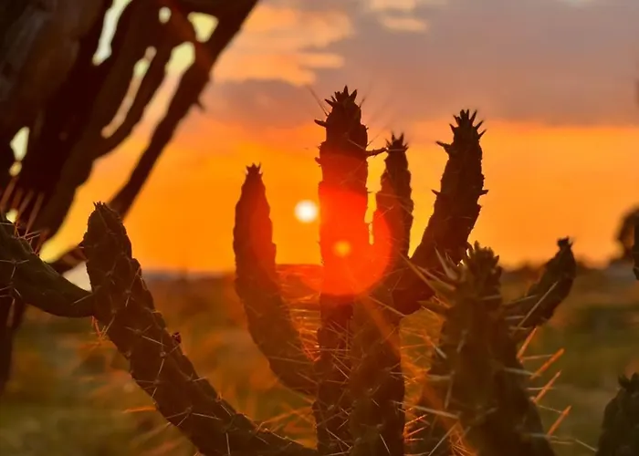 En-suite Double Room-giardino A Mare Donnalucata (Sicily)